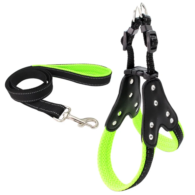 01 dog harness 