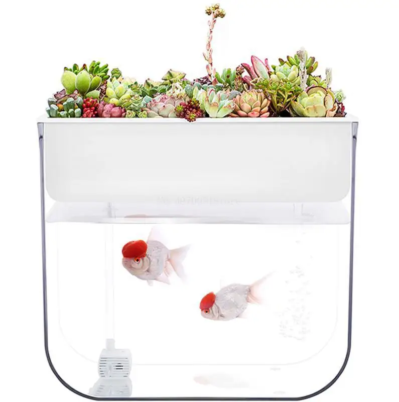 Новинка ультрапрозрачный пластиковый аквариум Aquaponic Betta Настольный экологичный