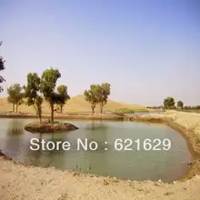 Desert Oasis 8’x8′ CP Computer-painted Scenic Photography Background Photo Studio Backdrop ZJZ-394