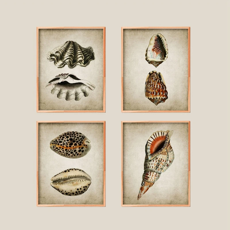 

Retro Seashell Poster Art Print Wall Picture Home Decor , Vintage Marine Prints Bathroom Wall Art Canvas Painting Nautical Decor