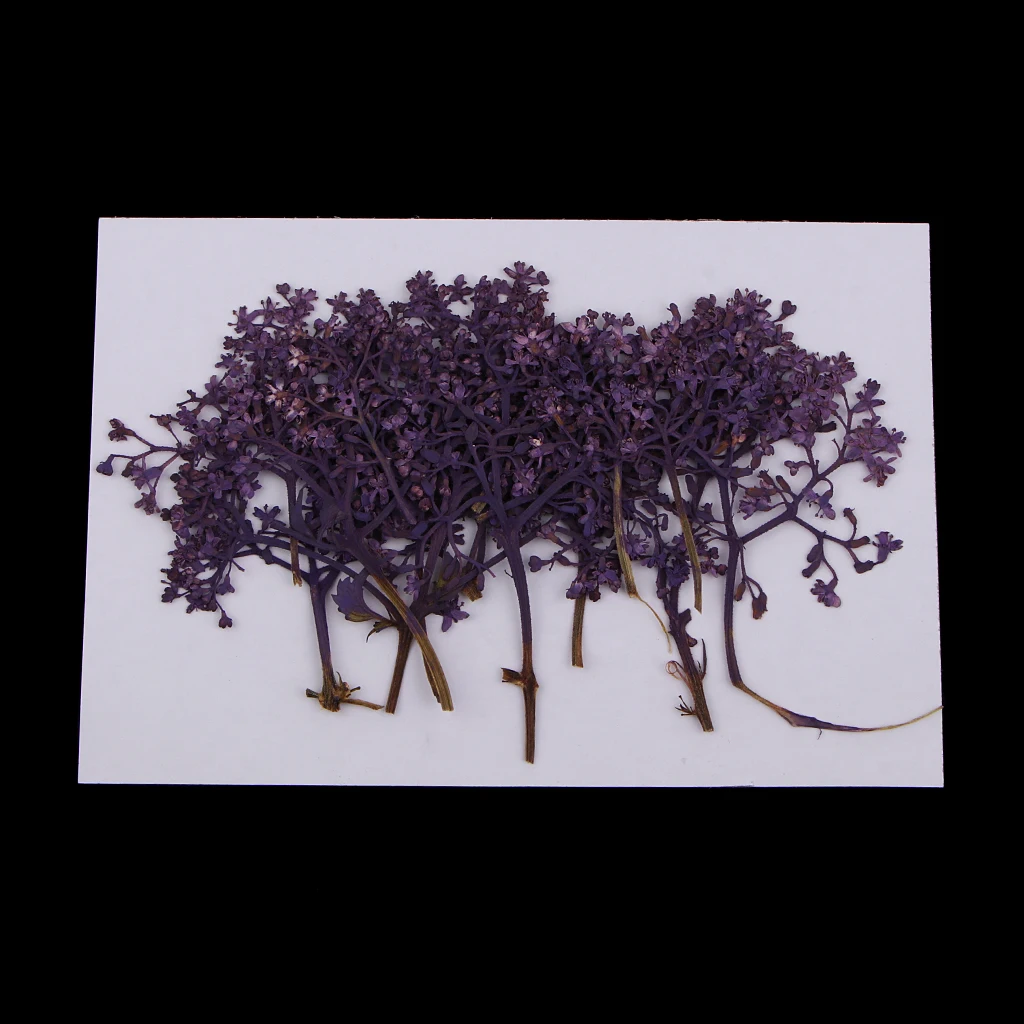 12 Pieces Natural Pressed Real Dried Flower for Soap Candle Making Decor Resin Casting DIY Ornament Craft