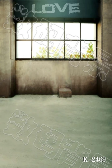 

200 * 300CM backgrounds for photo studio Cloth photography background Home Furnishing background love window k-2469