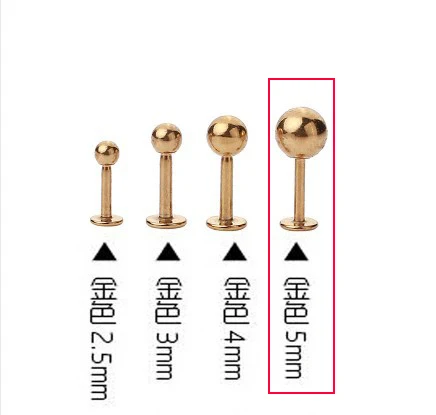 1 шт медицинские 316L антиаллергенные титановые стальные серьги-гвоздики для мужчин и женщин, вечерние Винтажные Ювелирные изделия в стиле панк, подарок 2,5 мм 3 мм 4 мм 5 мм - Окраска металла: 5mm Gold