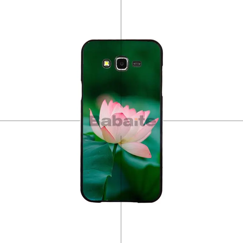 Flower Lotus Tulip