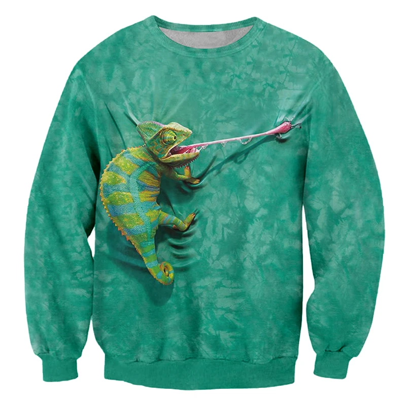 chameleon sweater