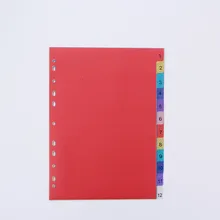 12 fogli A4 divisori indice legante PP colorati ufficio cartoleria scuola accessori spirale mese divisore file