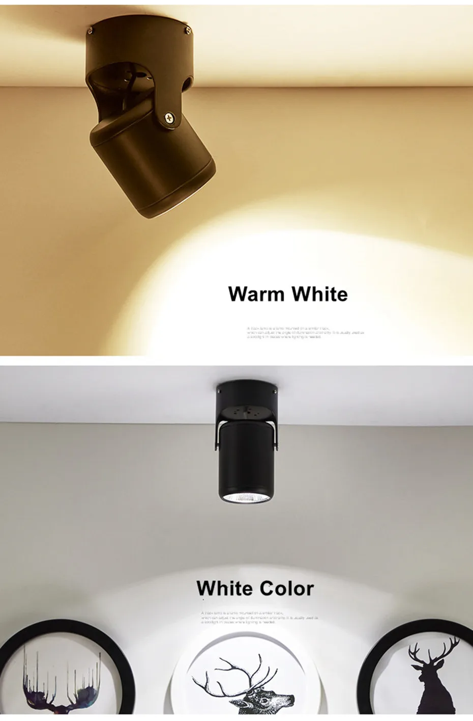 led Downlights  (15)