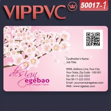 A50017-1 прозрачный визитки шаблон