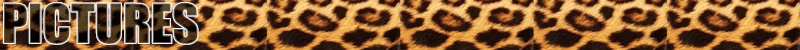 KUGUYS модные акриловые украшения на заказ Женская Красная Шапочка Подвеска Ожерелье для женщин цепочка Трендовое ожерелье s
