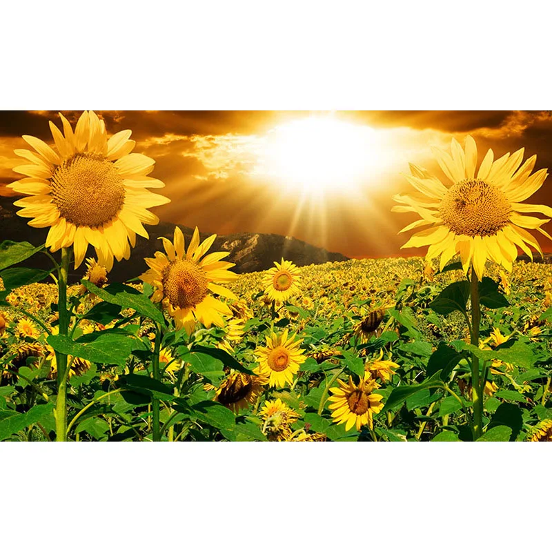 

5D DIY Diamond Painting Sunflower Cross Stitch Full Drill Round Diamond Embroidery Flowers Diamond Mosaic Pictures Home Decor