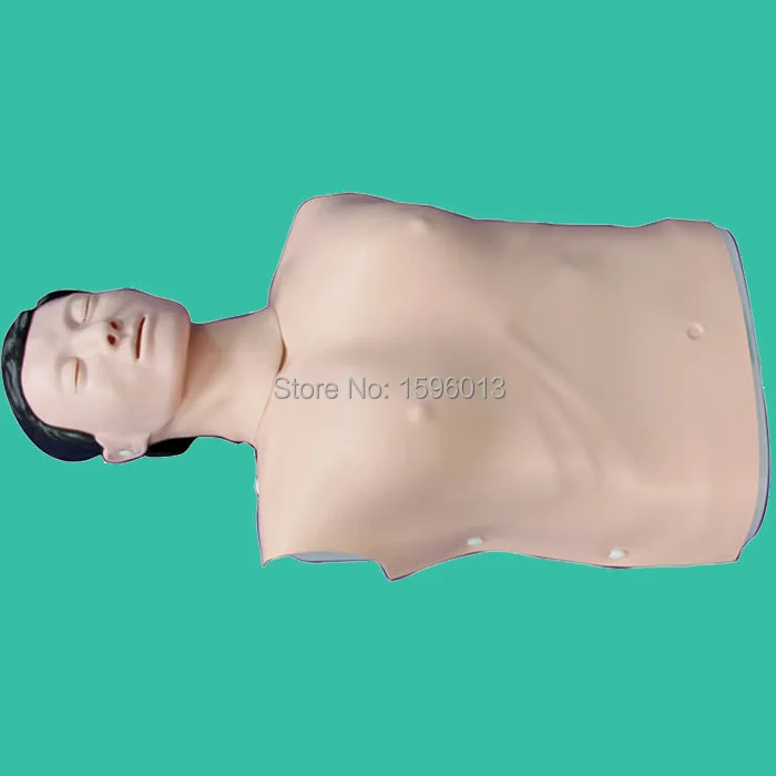 Half Body CPR Training manikin Model , First Aid manikin, Male CPR Manikin