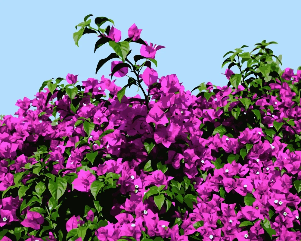 i703_vectorized_vectorized