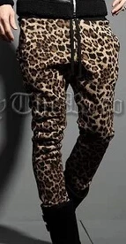 27-44! мужские большие размеры длинные брюки индивидуальность красивый Леопардовый принт тонкие повседневные брюки костюмы - Цвет: not add fleece