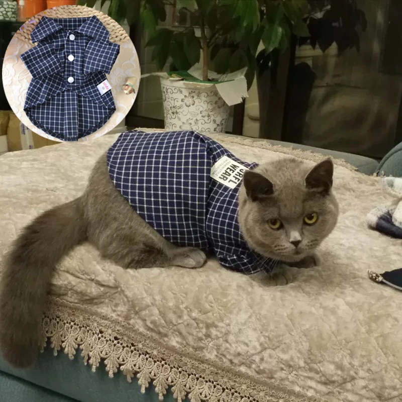 cat clothes aliexpress