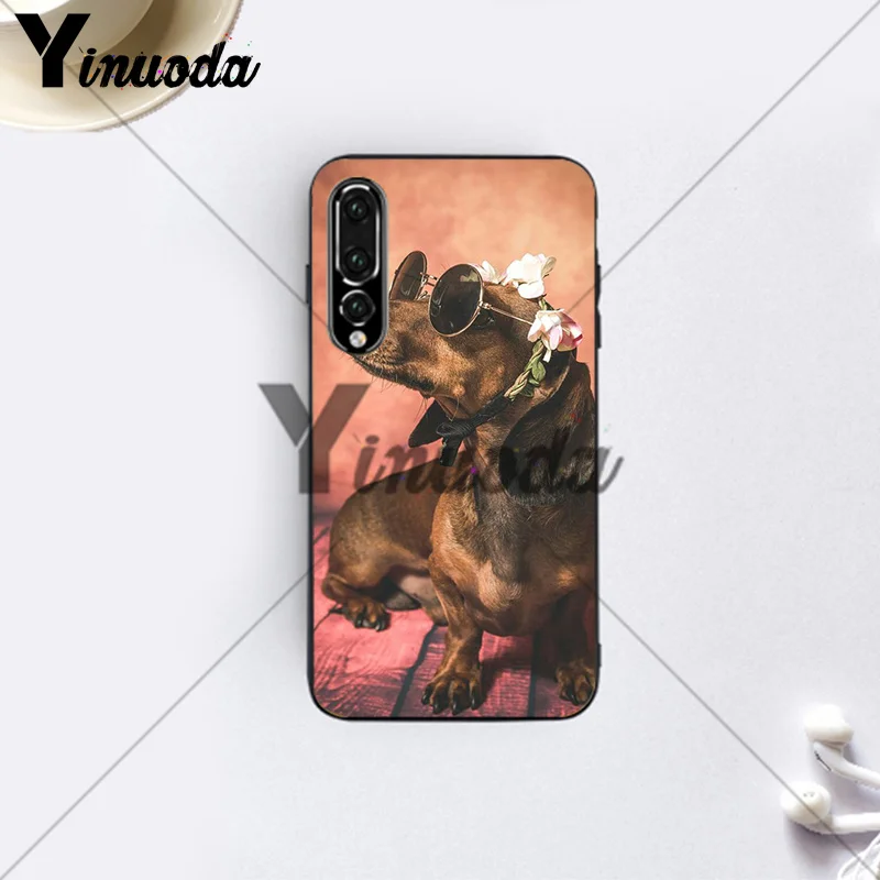 Dachshund And Flower (6)