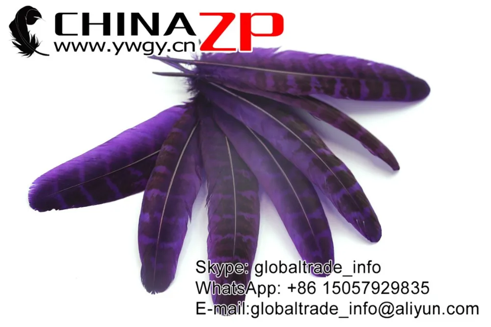 Purple Ringneck Hen Pheasant Round Quill Wing Feathers (7)
