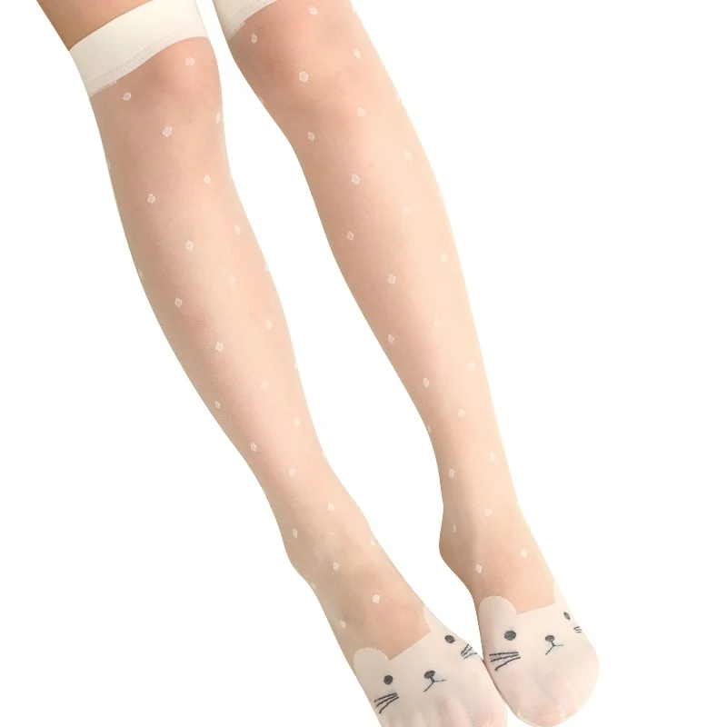 WX1538MY