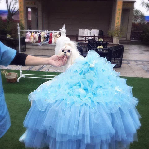 Festa de Casamento Vestido de Princesa de Luxo Filhote de Cachorro Artesanal para Cães Cão de Estimação Vestido Bordado Pequenos Nobre Tutu Rendas Pérola Plissado Saias