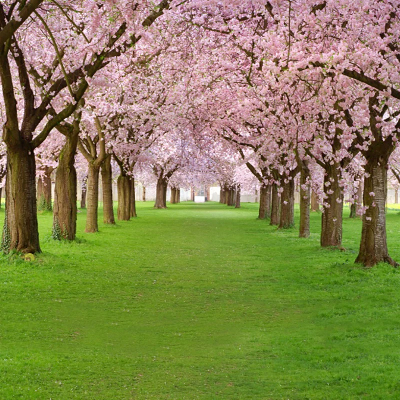 Download 71+ Background Jalur Hijau Terbaik