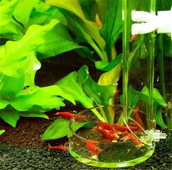 

Red bee shrimp feeder long tube bottom fish arcylic aquarium fish marine coral reef tank