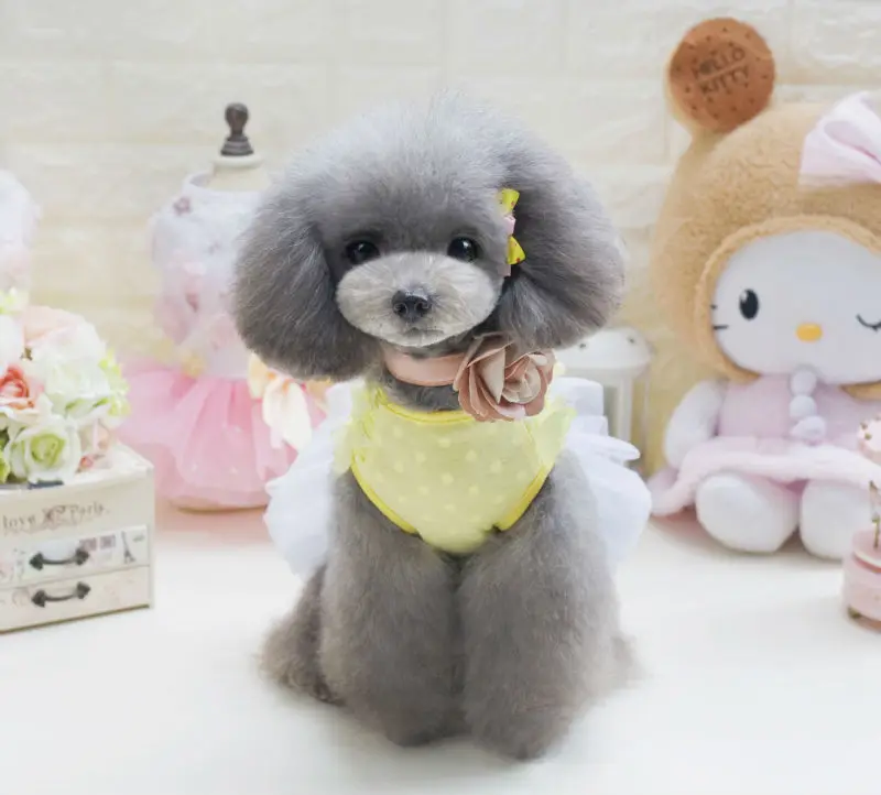 Y14_Lovely_Butterfly_pattern_dogs_Skirt_Summer_Pet_Dress_Puppy_dog_Cats_Princess_Bowknot_Floral_Tutu_Dress_for_Hiromi_ (6)