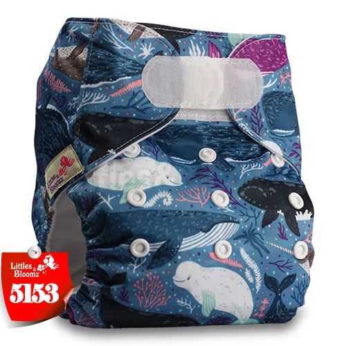 littles and bloomz newborn