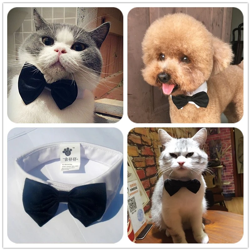 https://ae01.alicdn.com/kf/HTB1y_1GRFXXXXaJXFXXq6xXFXXX8/Doux-Pet-Shop-Chien-Accessoires-Noir-Jaune-Rouge-Arcs-Chiots-petit-Animal-Grand-Chats-Pet-Cravate.jpg