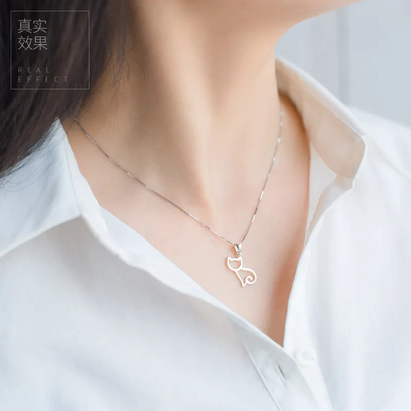 3110876131_334617663