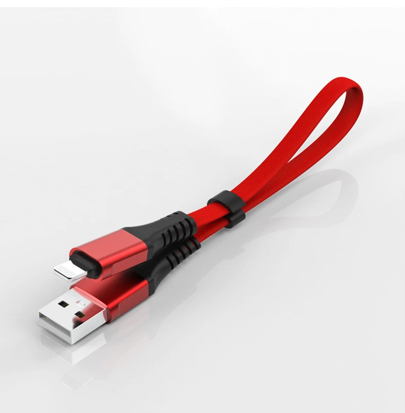 !ACCEZZ USB Charge Data Cable Lighting For iphone XS MAX XR X 8 7 6 6S 5S Plus Charging Cables For iPad Mini Short Charger Line (10)