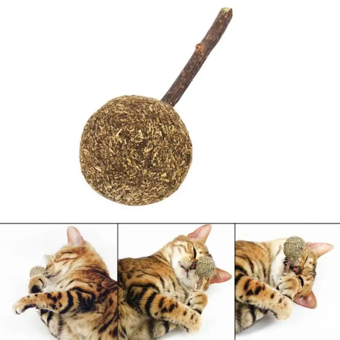 Забавный Кот Жевательная палочка Catnip круглый леденец котенок для чистки зубов домашних животных игровые игрушки для кошек