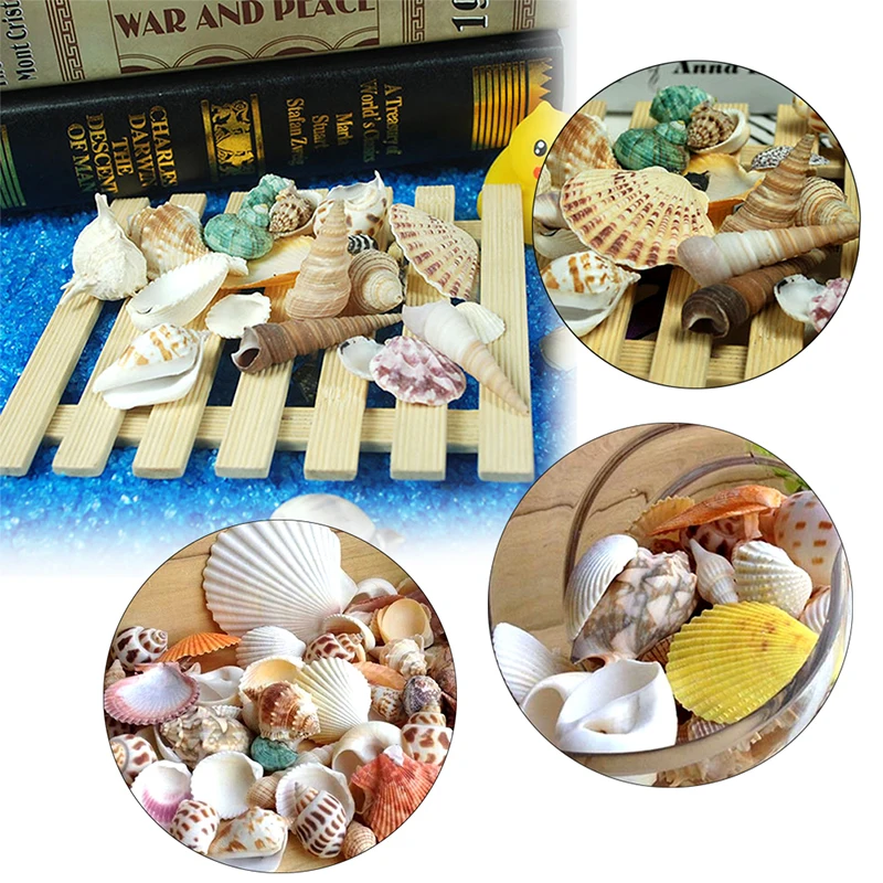 100g/120g Sea Shells Aquarium Decoration Style Mediterranean Shell / Conch Aquarium Parts Christmas/wall Hanging Decoration