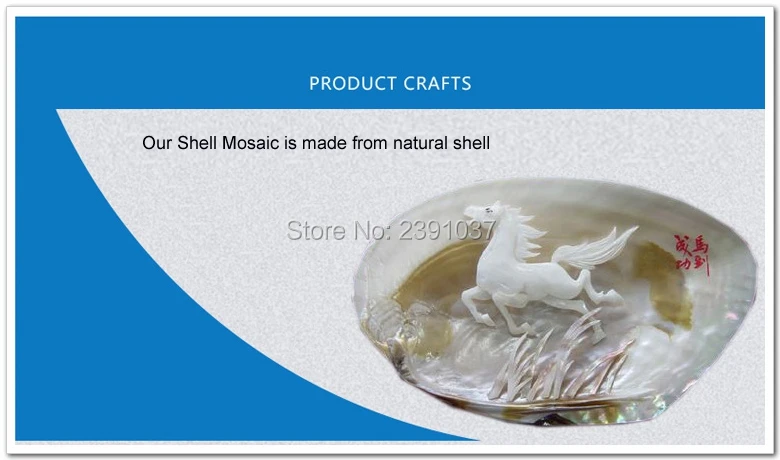 FHDCSHELLMT001F6