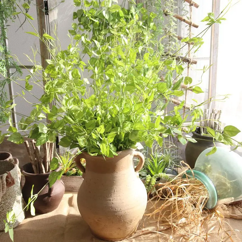 

Flower vine/rattan artificial plant leaves bonsai Vitality silk Green wicker DIY Flower arranging accessories plant DF46260