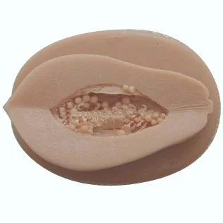 S9226