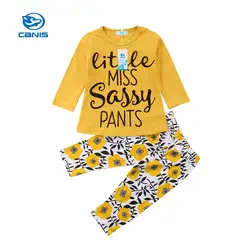 2018 Мода весна для мальчиков Комплекты одежды для девочек толстовки для малышей Брюки 2 шт./компл. детские штаны одежда для малышей