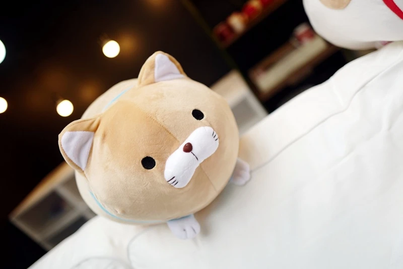 HTB1gFALalsmBKNjSZFsq6yXSVXaU