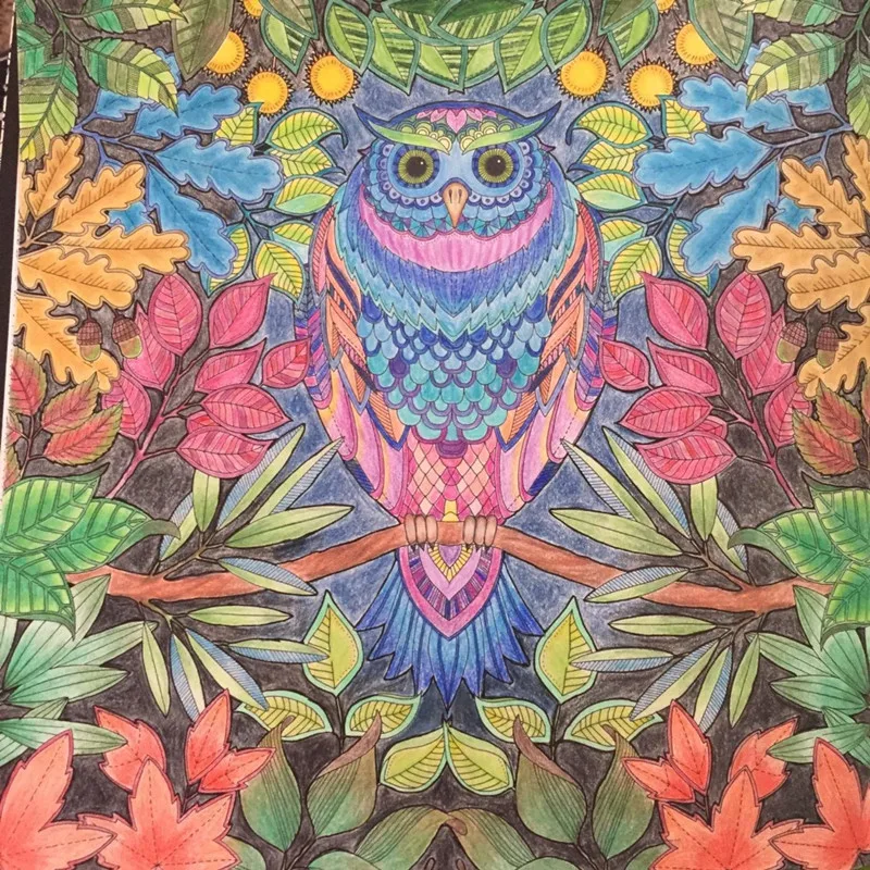 960+ Secret Garden Coloring Book Owl Best HD