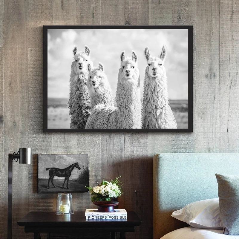 Alpaca Canvas Art Prints Home Decor