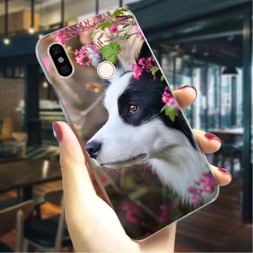 

Hard Cover for Xiaomi Redmi 3S 3Pro Border Collie Dog Case for Redmi 5 Plus Cover 4A 4X 5A Prime 6A Note 5 6 Pro Back Cases