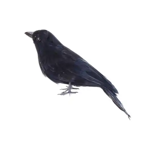 Realistic Looking Halloween Decoration Birds Black Feathered Crows Halloween Prop Decor High Quality Bird Black Decorative Birdbirds Birds Aliexpress