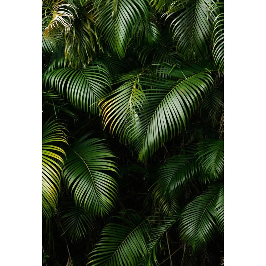 

Photography Background Backdrop Green Tropical Leaves For Customized Photoshoot Youtube Videos Outdoor Activities Photo Props