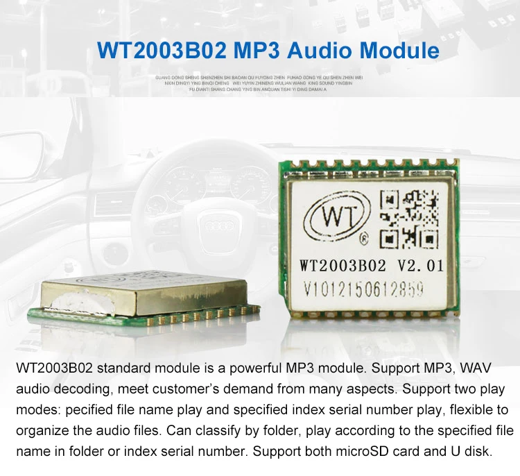 MP3 audio module (1)