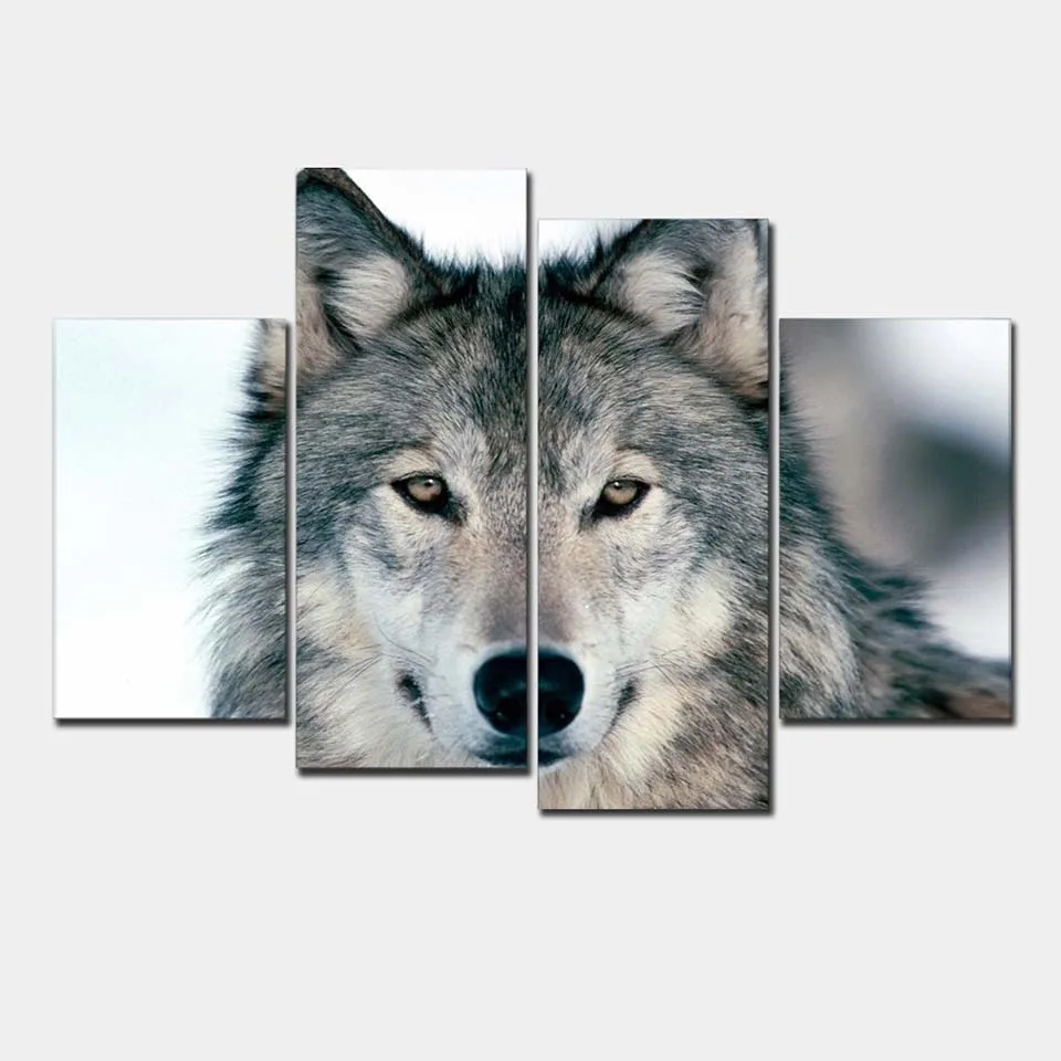 HTB14XqdtcIrBKNjSZK9q6ygoVXa4