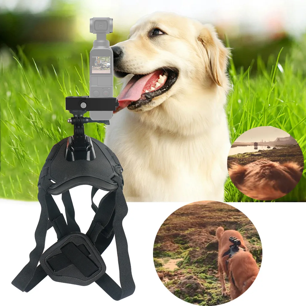 

Adjustable Pet Fetch Dog Chest Back Mount Strap shoot Picture For DJI OSMO Pocket Dogs Collars Pet Supplies Dogs Pet Products