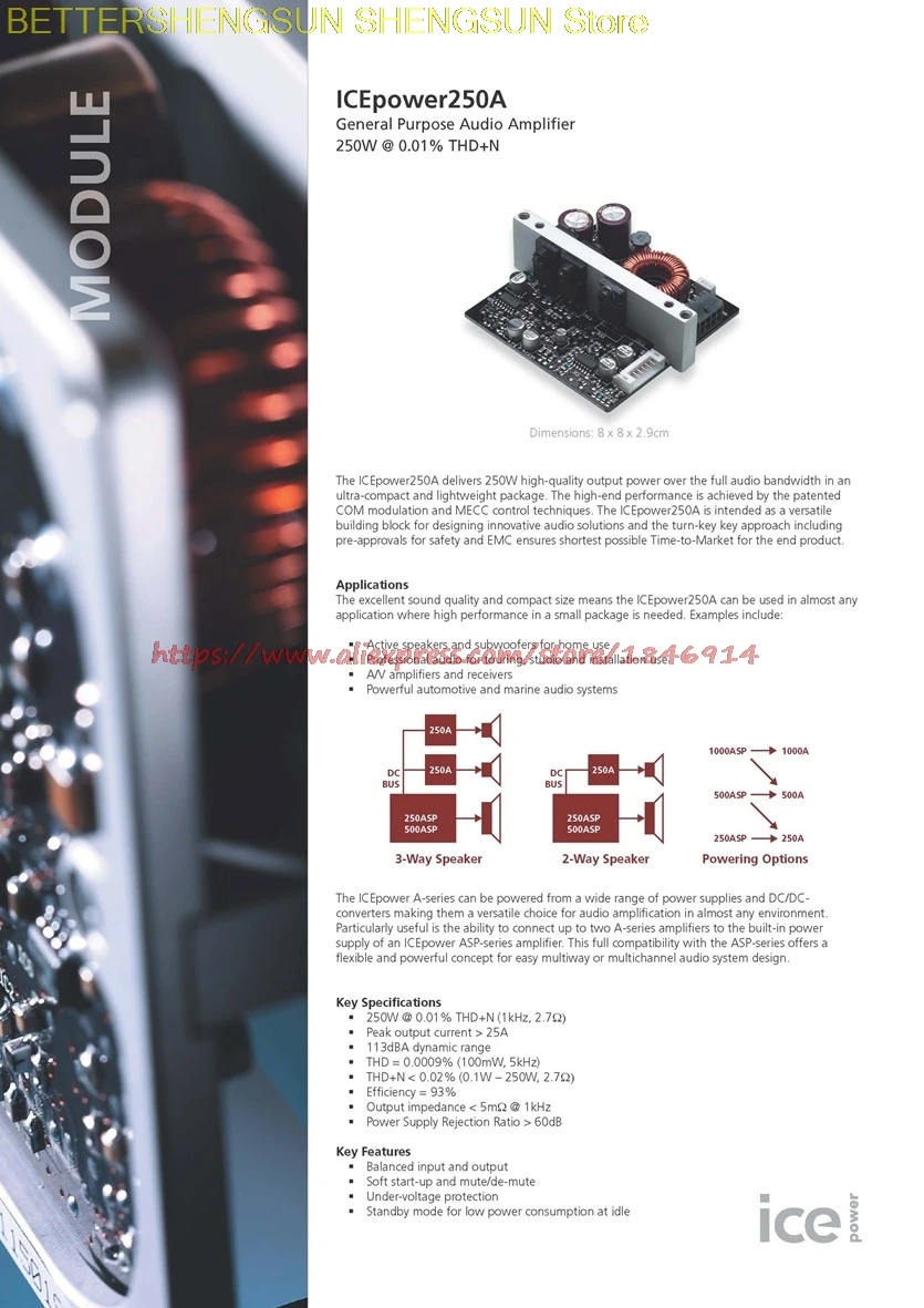 ICEPOWER усилитель мощности фитинги цифровой усилитель мощности модуль ICE250A Профессиональный усилитель мощности плата