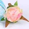 Buds flower heads c