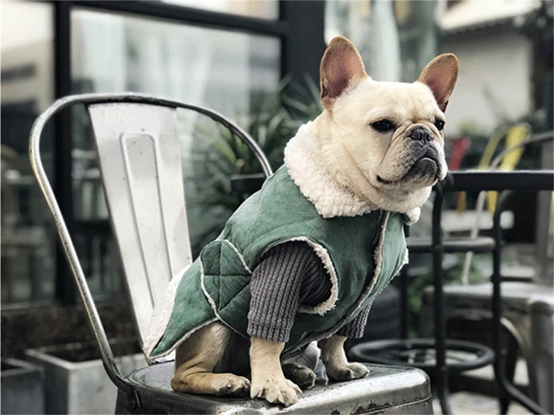 dog clothes coat winter (10)