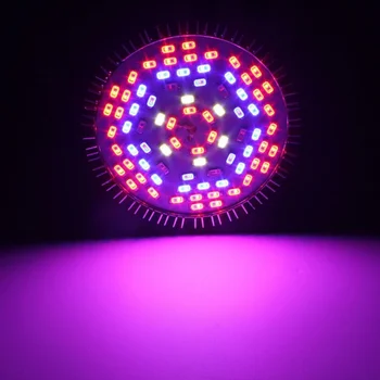

Led Grow Light Bulb E27 Grow Plant Light, Plant Bulb Full Spectrum Bulb for Flowering Lighting Indoor Garden Plants Greenhouse a