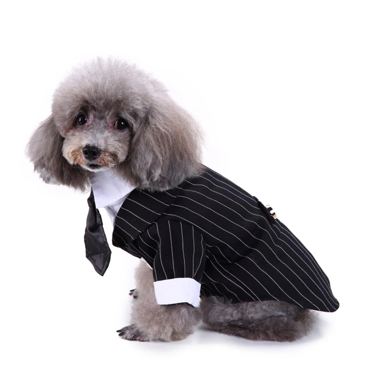 条纹领带服