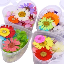 Микс сушеных цветов дизайн ногтей DIY сохраненный цветок с круглой коробкой в форме сердца